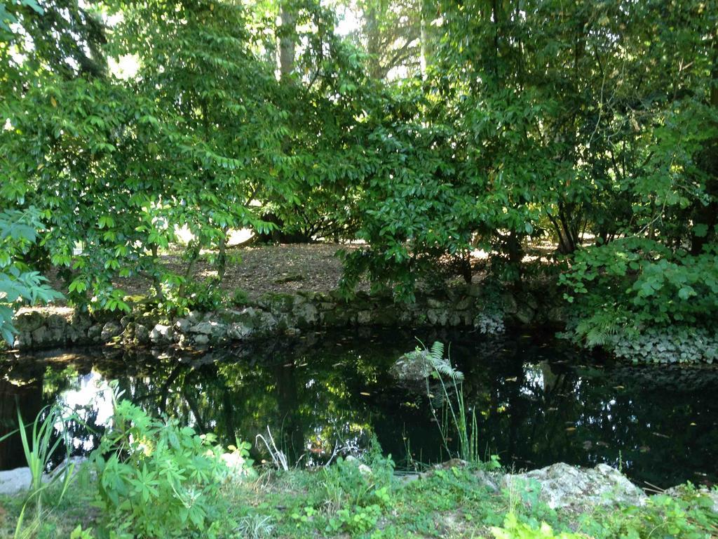 Chambre D'Hotes Les Rives De La Tronne Mer Exteriér fotografie